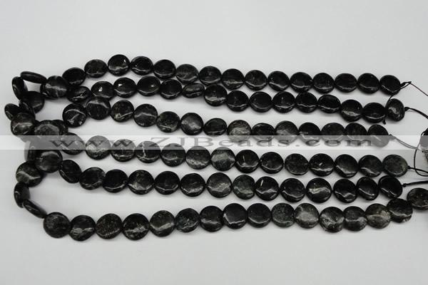 CAE45 15.5 inches 12mm flat round astrophyllite beads wholesale