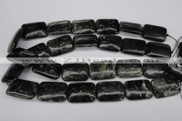 CAE95 15.5 inches 22*30mm rectangle astrophyllite beads wholesale