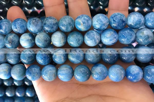 CAP643 15.5 inches 12mm round natural apatite gemstone beads