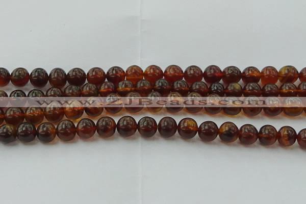 CAR528 15.5 inches 8mm - 9mm round natural amber beads wholesale