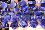 CARV11 15 inches 17mm – 18mm carved flower sodalite beads