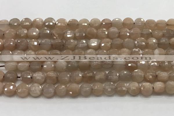 CCB705 15.5 inches 6mm faceted coin moonstone gemstone beads