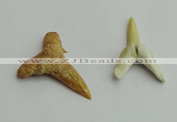 CGP541 15*25mm - 22*30mm shark teeth pendants wholesale