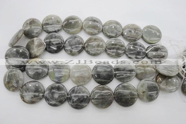 CLB739 15.5 inches 30mm flat round labradorite gemstone beads