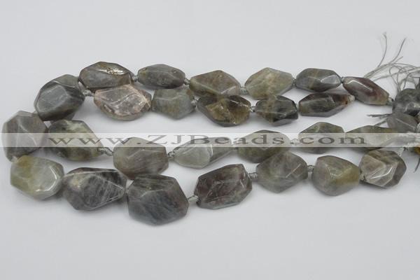 CNG1715 15.5 inches 15*20mm - 20*30mm nuggets labradorite beads