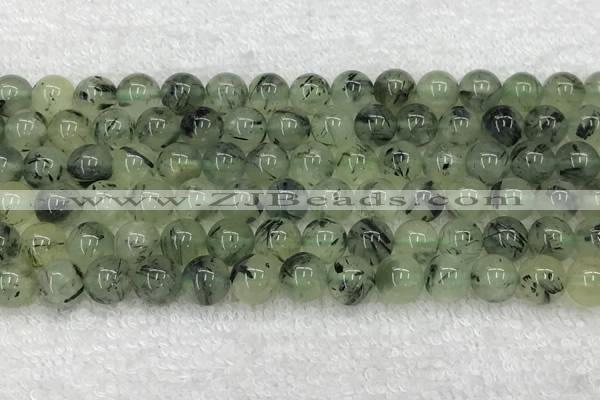 CPR391 15.5 inches 8mm round prehnite beads wholesale