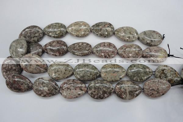 CSF04 15.5 inches 22*30mm flat teardrop shell fossil jasper beads