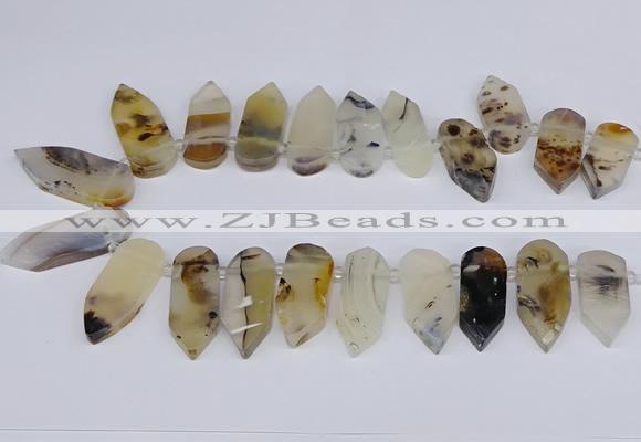 CTD2734 Top drilled 15*28mm - 18*45mm freeform montana agate beads