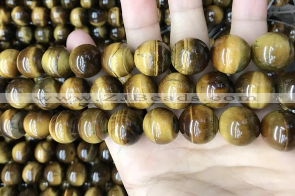 CTE2152 15.5 inches 16mm round yellow tiger eye beads wholesale