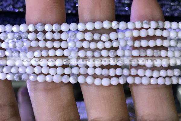 CTG1170 15.5 inches 3mm faceted round tiny white howlite beads