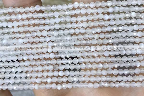 CTG1401 15.5 inches 2mm faceted round white moonstone beads wholesale