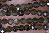 CTG1461 15.5 inches 2mm faceted round golden obsidian beads