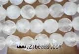 CTG1481 15.5 inches 3mm faceted round white moonstone beads