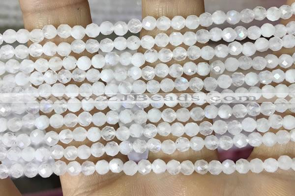 CTG1481 15.5 inches 3mm faceted round white moonstone beads