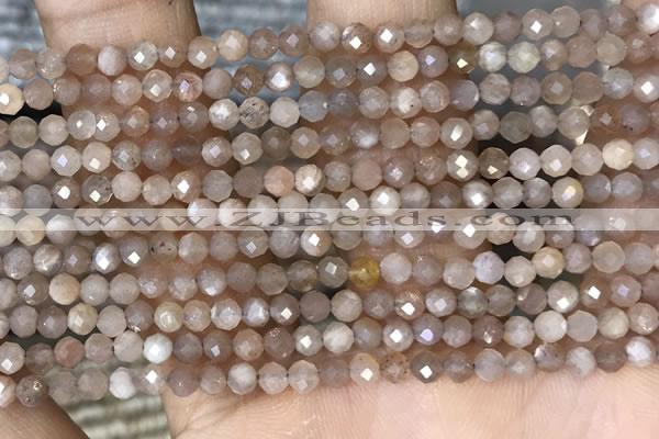 CTG1503 15.5 inches 3mm faceted round moonstone gemstone beads