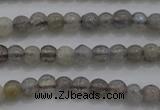 CTG260 15.5 inches 3mm round tiny labradorite beads wholesale