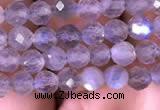 CTG703 15.5 inches 5mm faceted round tiny labradorite beads