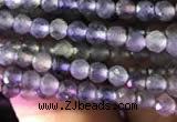 CTG750 15.5 inches 2mm faceted round tiny iolite beads wholesale