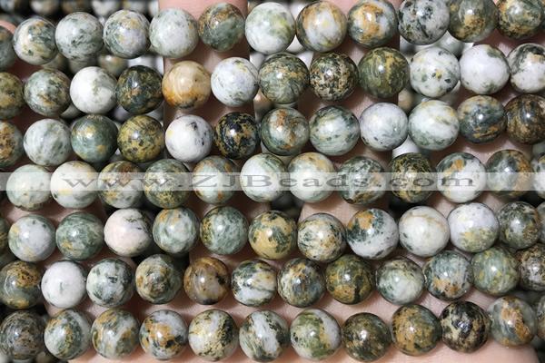 JASP21 15 inches 8mm green dragon quartzite beads