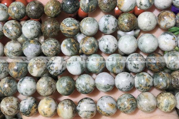 JASP22 15 inches 10mm green dragon quartzite beads