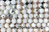 MIXE102 15 inches 10mm faceted white moonstone gemstone beads