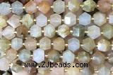 MIXE108 15 inches 10mm faceted jasper gemstone beads