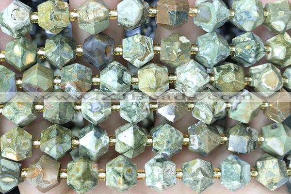 MIXE112 15 inches 10mm faceted rhyolite gemstone beads