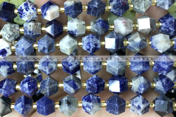 MIXE119 15 inches 10mm faceted sodalite gemstone beads