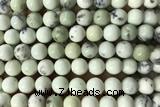 MIXE157 15 inches 10mm round natural jasper beads