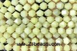 MIXE78 15 inches 10mm faceted jade gemstone beads