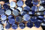 NUGG127 15 inches 14mm hexagon sodalite gemstone beads