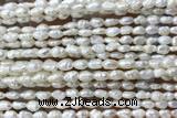 PEAR09 14 inches 3mm – 4mm white freshwater pearl beads