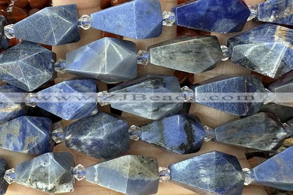 TEAR50 15 inches 10*20mm - 13*23mm faceted freeform teardrop sodalite beads